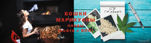 шишки Алексеевка